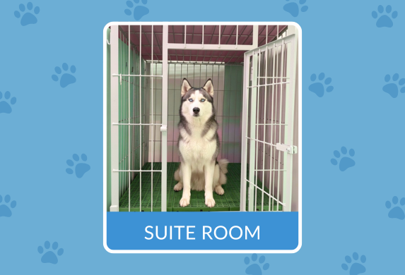 Executive Suite interior